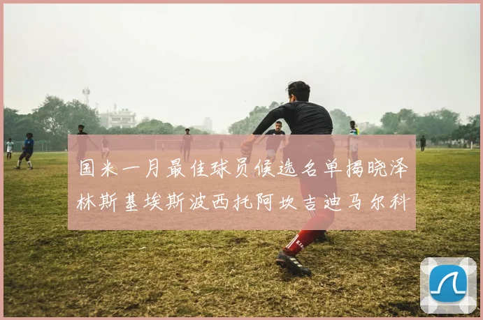 国米一月最佳球员候选名单揭晓泽林斯基埃斯波西托阿坎吉迪马尔科争夺荣誉