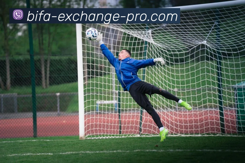 必发APP 高清赛事图